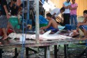 Protest shark finning in Sipadan / Mabul Photo