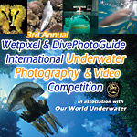 3nd Annual Wetpixel/DivePhotoGuide Photo and Video Contest Photo