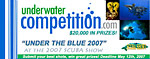 Deadline extended for Under the Blue 2007 competition Photo