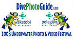 DivePhotoGuide / Wakatobi Underwater Photo and Video Festival Photo