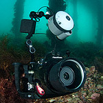Nauticam D700 underwater housing field review Photo