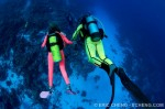 New “Divers Seeking Divers” forum Photo