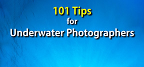 Wise Divers Announces 101 Tips for Underwater Photographers Photo