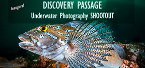 Announcing the Discovery Passage Underwater Photo Shootout Photo