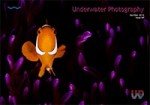 Issue 69 of Underwater Photography magazine available Photo
