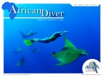Issue 23 of African Diver is available Photo