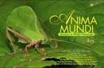 Issue 8 of Anima Mundi available Photo