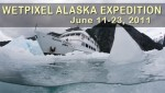 Wetpixel Expeditions: Alaska in June 2011 Photo