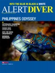Summer issue of Alert Diver on its way Photo