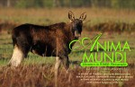 Issue 5 of Anima Mundi magazine available Photo