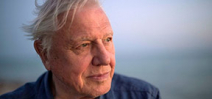 Happy Birthday David Attenborough! Photo