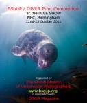 Call for entries: BSoUP/DIVER print competition Photo