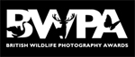 Call for entries: British Wildlife Photography Awards Photo