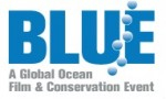 Finalists of the Blue Ocean Film Festival announced Photo