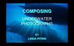 Linda Pitkin on composition Photo