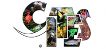 CITES 2013: The results Photo