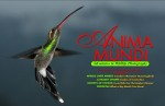 Issue 6 of Anima Mundi magazine available Photo