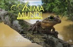 Issue 7 of Anima Mundi available Photo