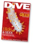 August edition of DIVE magazine available Photo