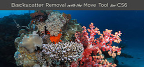 Erin Quigley’s tutorial on backscatter removal Photo