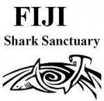 Crucial meeting for Fijian sharks Photo