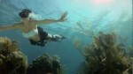 GoPro features free-diving at Tiger beach Photo