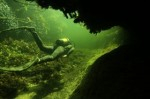 Diving with crocodiles Photo
