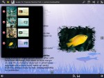 Guide to Tropical Marine Fish volume 4 released Photo