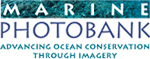 Call for entries: Ocean in Focus 2012 Photo