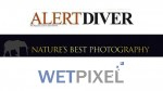 Wetpixel to be online partner for Ocean Views 2012 Photo