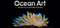Call for entries: Ocean Art 2015 Photo