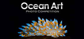 Ocean Art 2018 is calling for entries Photo