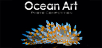 Final call: Ocean Art 2013 Photo