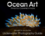 Call for entries: 2011 Ocean Art Photo Competition Photo