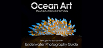 Call for entries: Ocean Art 2013 Photo