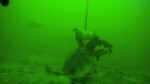 Video: Octopus problem solves to get bait Photo