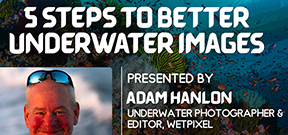 Underwater Imaging Speakers at PHIDEX 2021 Photo