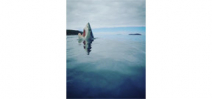 Shark attack survivor, advocate and underwater photographer Photo