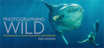 National Geographic photographer Paul Nicklen releases eBook Photo