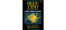 New edition of Florida, Caribbean and Bahamas fish ID book published Photo