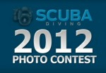 Call for entries: 2012 Scuba Diving Photo Competition Photo