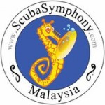 Scuba Symphony launches monthly photo contest Photo