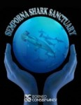 Semporna shark sanctuary petition Photo