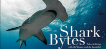 Introducing Shark Bytes by John Bantin Photo