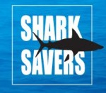 AB376 passes California Senate: Shark fin trade illegal Photo