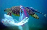 EU to pay fishermen to catch plastic Photo