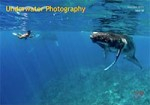 Issue 60 of Underwater Photography magazine available Photo