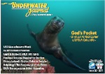 Underwater Journal releases issue 20 Photo