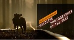 Final call: Wildlife Photographer of the Year 2012 Photo