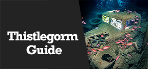 Wetpixel Live: Guide to the Thistlegorm Photo
